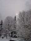 NewYear Switz2004(115) (384x512, 39.0 kilobytes)