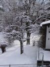 NewYear Switz2004(117) (384x512, 54.3 kilobytes)