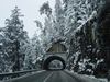 NewYear Switz2004(143) (600x450, 74.9 kilobytes)