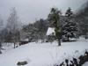 NewYear Switz2004(150) (600x450, 46.3 kilobytes)