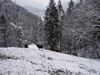 NewYear Switz2004(173) (600x450, 81.6 kilobytes)