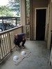 a. Readying our new hard hats (102) (384x512, 85.3 kilobytes)