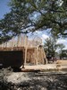 g. The framing has begun (114) (384x512, 137.6 kilobytes)