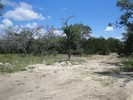 a.This will be our new homesite (301) (640x480, 122.5 kilobytes)
