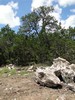 a.This will be our new homesite (307) (360x480, 102.4 kilobytes)