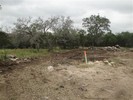 f. Clearing the lot (102) (640x480, 124.2 kilobytes)