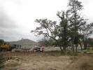 f. Clearing the lot (103) (640x480, 115.1 kilobytes)
