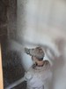 g. Workmen blowing the insulation (104) (384x512, 50.8 kilobytes)