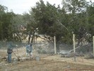 b. The fence is finally going in (102) (683x512, 182.7 kilobytes)