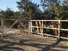 b. The fence is finally going in (112) (683x512, 204.4 kilobytes)