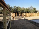 b. The fence is finally going in (114) (683x512, 152.4 kilobytes)