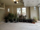 f. Time to begin landscaping (101) (683x512, 107.8 kilobytes)