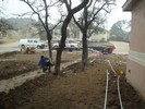f. Time to begin landscaping (107) (683x512, 167.0 kilobytes)