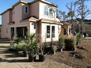 f. Time to begin landscaping (112) (683x512, 214.8 kilobytes)