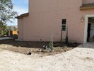 f. Time to begin landscaping (115) (683x512, 149.0 kilobytes)