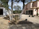 f. Time to begin landscaping (117) (683x512, 203.9 kilobytes)