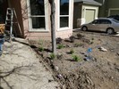 f. Time to begin landscaping (122) (683x512, 204.8 kilobytes)
