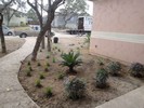 f. Time to begin landscaping (126) (683x512, 169.8 kilobytes)