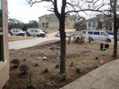 f. Time to begin landscaping (127) (683x512, 180.5 kilobytes)
