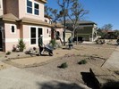 f. Time to begin landscaping (136) (683x512, 178.9 kilobytes)