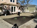 f. Time to begin landscaping (142) (683x512, 182.8 kilobytes)