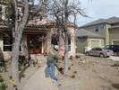 g. Trimming the trees (903) (683x512, 177.4 kilobytes)