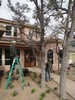 g. Trimming the trees (904) (384x512, 123.1 kilobytes)