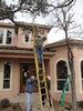 g. Trimming the trees (919) (384x512, 107.5 kilobytes)