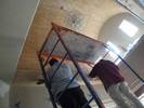 j. The barrel ceiling took a while to complete (117) (683x512, 112.6 kilobytes)