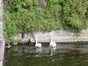 Brugge, BE July 03 (108) (600x450, 91.6 kilobytes)