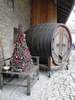 b. Unusual Xmas trees (202) (384x512, 69.8 kilobytes)
