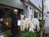 Stuttgart  Xmas Markt 2004 (127) (640x480, 99.2 kilobytes)