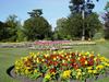 Bury St Edmonds (136) (600x450, 102.2 kilobytes)