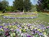 Bury St Edmonds (137) (600x450, 117.4 kilobytes)