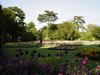 Bury St Edmonds (139) (600x450, 72.8 kilobytes)