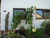 DSC00872 (600x450, 59.0 kilobytes)