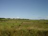 Ireland_1(144) (600x450, 38.8 kilobytes)
