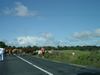 Ireland_1(146) (600x450, 29.0 kilobytes)