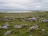 Ireland_1(161) (600x450, 51.4 kilobytes)