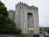 Ireland_1(179) (600x450, 48.2 kilobytes)