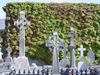 Ireland_1(196) (600x450, 94.2 kilobytes)