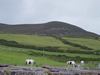 Ireland_2(162) (600x450, 31.6 kilobytes)