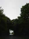Ireland_2(164) (384x512, 20.8 kilobytes)