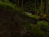 Ireland_2(175) (600x450, 38.6 kilobytes)