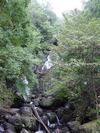 Ireland_2(176) (384x512, 58.3 kilobytes)