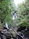 Ireland_2(177) (384x512, 59.3 kilobytes)