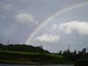 Ireland_2(179) (600x450, 18.6 kilobytes)