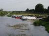 Ireland_3(128) (600x450, 39.6 kilobytes)
