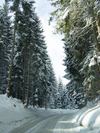 Kitzbuhl Area Scenes - Jan 03 (105) (384x512, 72.0 kilobytes)