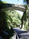 Lake Garda Italy   Jul 03 (126) (384x512, 62.7 kilobytes)